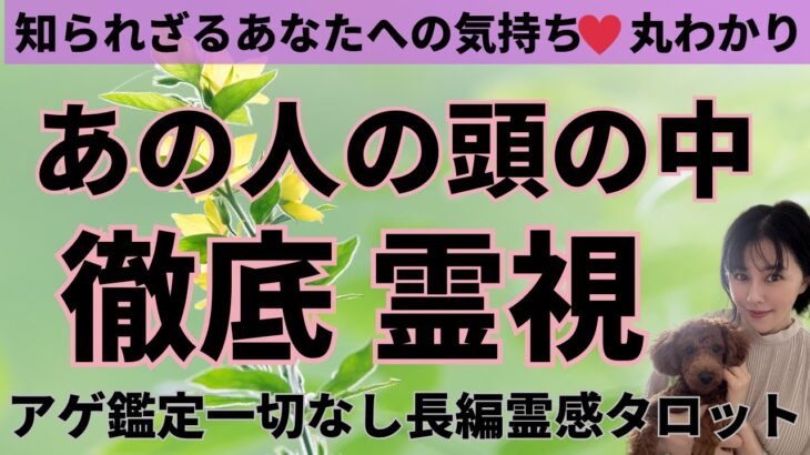 【見た時がタイミング🔔】あなたへの気持ち丸わかり❤️ツインレイ/ソウルメイト/運命の相手/複雑恋愛/曖昧な関係/復縁/片思い/音信不通/ブロック/未既読スルー/好き避け/恋愛結婚/占いリーディング霊視