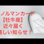 【恋愛❤️ルノルマンカード・タロットカード・西洋占星術】牡牛座♉️近々貴方が受け取る嬉しい知らせ！