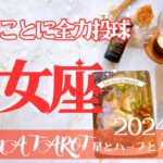 【おとめ座】2024年1月運勢🕊楽しみ最優先💖やりたいことをやろう🔥星とカードからのメッセージ🌟【タロット＋オラクルカード＋アロマ】仕事・恋愛・人間関係・お金