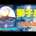 《獅子座》2023年12月の運勢　冒険に出る！！⛵✨️やりたい時にやりたいことをしてください🙌💖✨️心が踊るようなことが沢山やってきます💃✴️