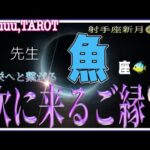 魚座♓️さん【射手座新月🌚〜繁栄につながるご縁】向こう側の光へ踏み出す🚶‍♂️#直感リーディング #タロット占い #2023