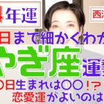 【やぎ座の運勢 2024年】誕生日ごとに詳しくわかる2024年の山羊座の運勢【占い師早矢】