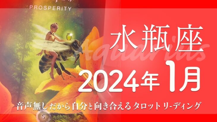 【みずがめ座】HAPPY♪HAPPY♪・バトンが回ってくる・素晴らしいスタート★2024年1月★タロットリーディング【音声なし】【水瓶座】