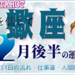 蠍座♏️さん【12月後半の運勢✨16日〜31日の流れ・仕事運・人間関係】家族との絆👨‍👩‍👧💓#直感リーディング #タロット占い #2023