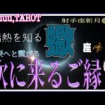 蠍座♏️さん【射手座新月🌚〜繁栄につながるご縁】信頼される人気者🌹#直感リーディング #タロット占い #2023