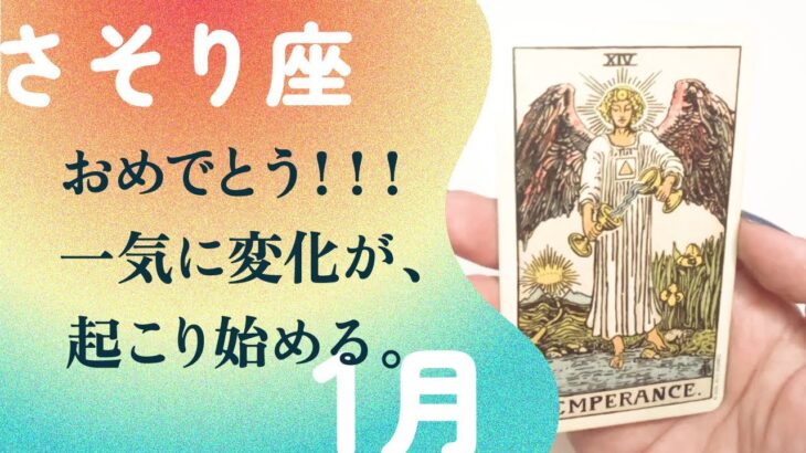 やったーー！！蠍座史上最強の2024年開始。【1月の運勢　さそり座】