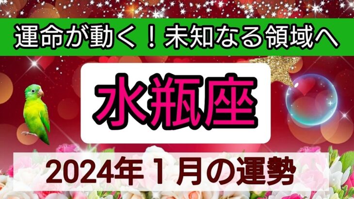 水瓶座【2024年1月の運勢】💕運命が動く！未知なる領域へ👑幸せを呼び込む！開運リーディング🌟