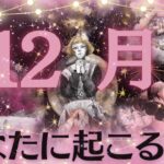 【今年ラスト奇跡💝✨】12月あなたの運勢🎄1週間ごとの流れ・仕事恋愛お金・ラッキーアクション🧚今年もおつかれさまでした💖