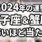 【2024年の運勢占ってみた】来年に起きることが凄すぎました！双子座＆蟹座の運勢、金運、仕事運、恋愛運、全体運【ゆっくり解説】