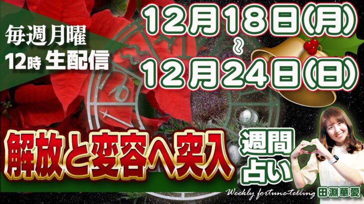 【週間占い】12月18日(月)〜24日(日) 太陽山羊座入り、冬至✨自分の魂の役割を現実化するエネルギー！水星逆行、ついに射手座へ戻る　解放と変容