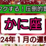 蟹座【2024年1月の運勢】💕ワクワクする！圧倒的豊かさ👑幸せを呼び込む！開運リーディング🌟