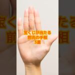 宝くじが当たる前兆の手相3選#手相#金運 #占い#運勢