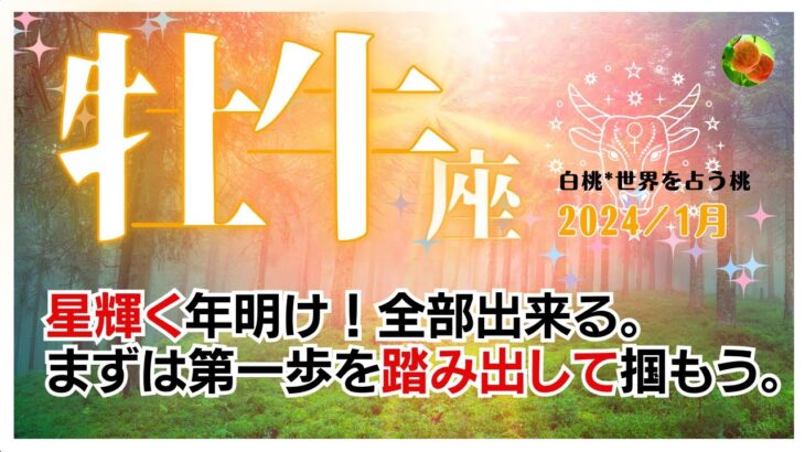 牡牛座♉2024年1月★星輝く年明け！全部出来る。まずは第一歩を踏み出して掴もう。