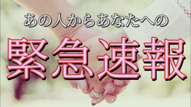 ちょっと待ってー!!あの人から2023年最後の緊急速報が入りました💗