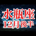 水瓶座12月後半♒️ラッキーチャンス🌈サナギから蝶へ変容の時✨正当な対価を得ていこう🍀