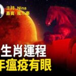 風水豪：2024天罰之年 瘟疫有眼 ｜八運艮卦少兒退 九運丙火燒邪靈 ｜上天威嚴光明顯 赤馬紅羊誰遇劫｜2024生肖運程 立冬在即 轉運在何時【Nina面對面356】