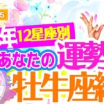 2024年占星術で見た牡牛座運勢は？