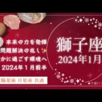 ［獅子座］💎2024年1月前半💎カードたちが一貫して「問題解決」を示唆😳‼️安心安全な場所へ進んでいく🍀✨