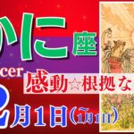 【蟹座♋】2023年12月1日～1月1日🌈大興奮☆続く幸せ🌟器が急速に広がるタイミングです🦄【幸せ最適化タロット】【恋愛 仕事 人間関係】【星座占い 占星術 タロット占い 蟹座 かに座】