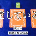 【魂占い】もうすでに決定していることを占いました！