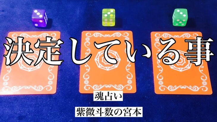 【魂占い】もうすでに決定していることを占いました！