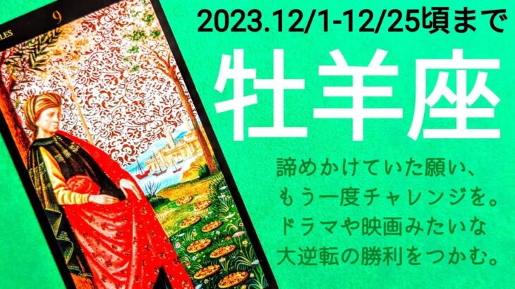 🌿牡羊座さん12月🌿願いが芋づる式で叶う幸運期！✨そして努力に見合う報酬もきちんと得る🌟#タロット #オラクルカード #運勢 #12月 #牡羊座 #占い #おひつじ座