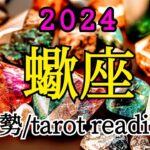 🌟2024/年間占い/蠍座🌟幸せの国行きの汽車に乗る✨🚋放った愛は100倍に！🌿😳🧡#タロット #占い #運勢 #1月 #2024 #蠍座 #さそり座