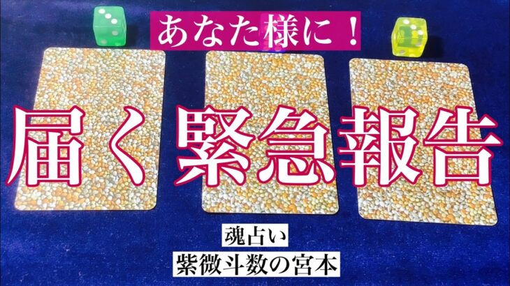 【魂占い】あなたに届く緊急報告を占いました！