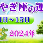 【毎日タロット前半】山羊座（やぎ座）1月1日から15日の運勢をリーディング⭐