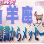 山羊座♑️さん【蟹座満月🌕〜潜在意識からのメッセージ】頑張ってきた事のご褒美🎁#直感リーディング #タロット占い #2023