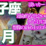 《双子座2024年１月》凄いカード続出で大興奮！　運命的な出会いの可能性（人だけに限らず）　想像の斜め上のゴールへ！＊深堀り＊魂のリーディング＊個人鑑定級