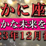 かに座♋︎2023年12月後半　今年最後🔥穏やかな未来を享受　Cancer late December 2023