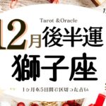 ※個人鑑定級【獅子座♌️】2023年12月後半運勢✨自分の人生を生きるタイミング😃🙌🌈誰かの為に生活や時間を捧げてきた方は自分の為に時間を使っていく💝自分の夢の為に生きたいくきっかけの時💝