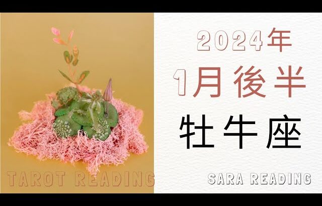 牡牛座♉2024年1月後半の運勢🍒内に秘めた思いを表現していくための、土台を再構築する。