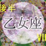 【1月後半✴︎乙女座】願いのために能力発揮∞　爽快に駆け抜ける🌬忙しい時だからこそ何もしない時間を作る🌿✴︎🌙