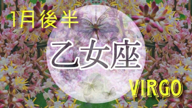 【1月後半✴︎乙女座】願いのために能力発揮∞　爽快に駆け抜ける🌬忙しい時だからこそ何もしない時間を作る🌿✴︎🌙