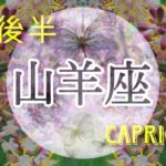 【1月後半✴︎山羊座】心の芯の傷を超えていく、平和を見つける変化の時🌿✴︎🌙心地よい循環！ギブアンドテイクを心がけて！