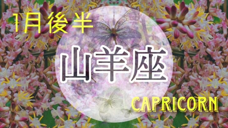 【1月後半✴︎山羊座】心の芯の傷を超えていく、平和を見つける変化の時🌿✴︎🌙心地よい循環！ギブアンドテイクを心がけて！