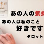 【タロット占い・有料個人鑑定級】あの人が思い描く未来に私は存在していますか？そして、あの人は私のこと好きですか？🦄✨✨あの人の気持ちと今後の二人の関係を全力ガチ鑑定🍀✨✨【３択占い】