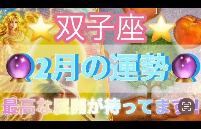 双子座♊️さん⭐️2月の運勢🔮最高な流れに切り替わります✨1人で頑張らなくていい‼️タロット占い⭐️