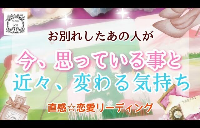 【タロット】🕊‎🍀お別れしたあの人の今の想いと今後変わっていくお気持ち。音信不通、復縁、疎遠、停滞め含む🌸直感☆恋愛リーディング