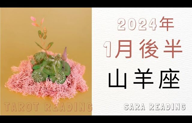 山羊座♑2024年1月後半の運勢🍒つかの間の休息タイム。思いっきり羽目を外すのもいい！その後は、覚悟を決めて進む。