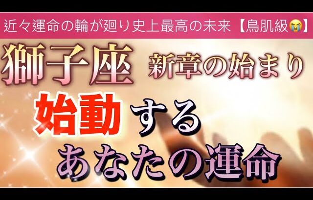 獅子座🌹【感動🥹】近々人生に起こる大改革🔥運命の引き寄せ✨全てには意味がある🌈個人鑑定級深掘りリーディング#潜在意識#ハイヤーセルフ#魂の声