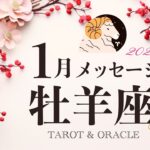 【牡羊座♈️1月運勢】ここから大切にしたいマインド🌟どんな状況でも夢を諦めない🕊️タロット＆オラクルカードリーディング