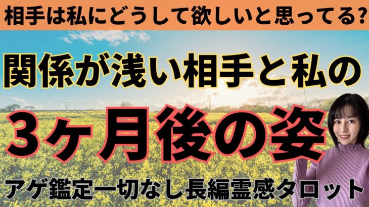 【見た時がタイミング🔔】関係浅い相手との3ヶ月後❤️ツインレイ/ソウルメイト/運命の相手/複雑恋愛/曖昧な関係/復縁/片思い/音信不通/ブロック/未既読スルー/好き避け/恋愛結婚/占いリーディング霊視