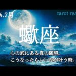 💎2月:蠍座さん💎今月の運勢と日本の神さま達からの優しいメッセージ✨👱👰🧓👸✨#タロット #占い #運勢 #蠍座 #さそり座