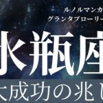 2024年1月起こること【水瓶座】〜大成功の兆し〜【恐ろしいほど当たるルノルマンカードグランタブローリーディング＆アストロダイス】