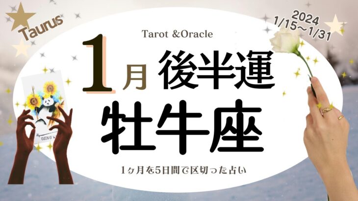 ※個人鑑定級【牡牛座♉️】2024年1月後半運勢✨ビックチャンスがやってきそう😃🙌🌈愛情💝お金💰富✨牡牛座さんによって巡ってくるものが違うかも✨今現在の問題や悩みはすぐに解消へ✨