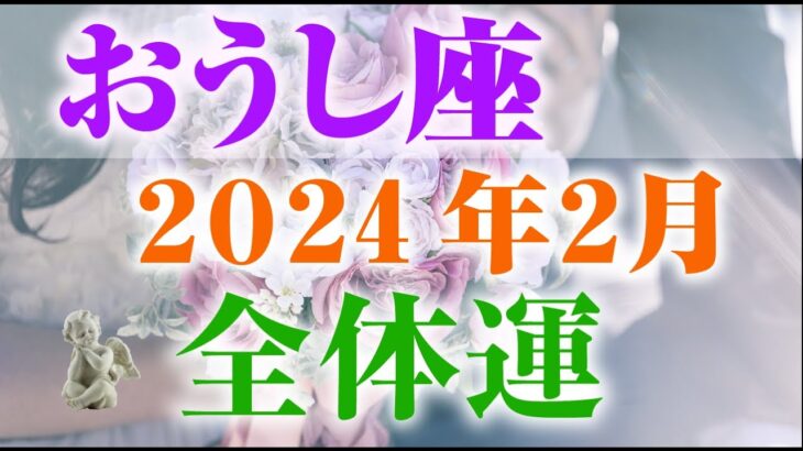 【2024年2月おうし座】総合運🐄恋愛運・仕事学業運・対人関係も🎶