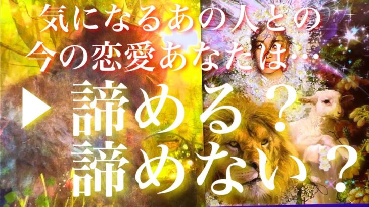 💕参考資料にどうぞ🐉気になるあの人との恋愛、諦める？諦めない？相手の反応も細かくリーディングしていきます🦋